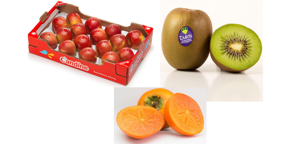 Apofruit, l'eccellenza made in Italy in primo piano a Fruit Attraction 2024